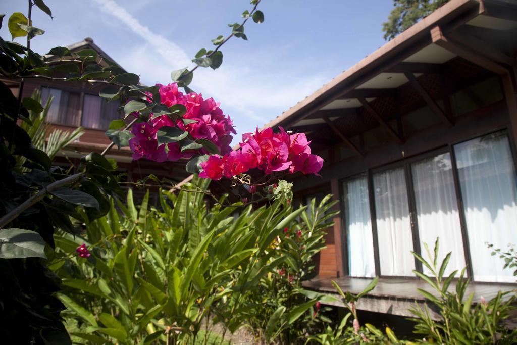 Kenaki Lodge Puerto Viejo de Talamanca Екстер'єр фото
